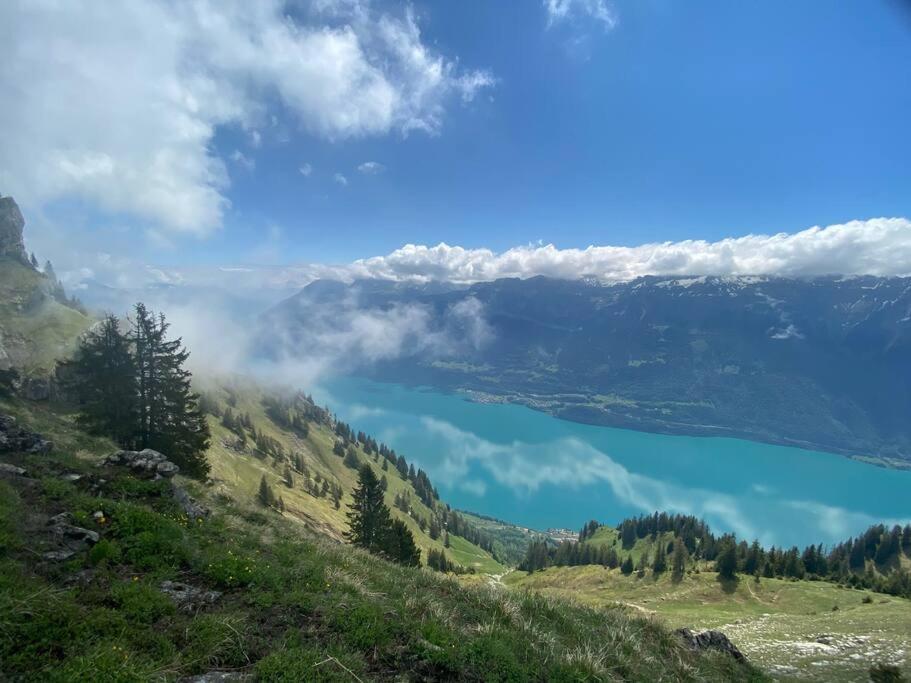 Chalet Mignon - Your Vacation Oasis At Lake Brienz Bonigen Exterior photo