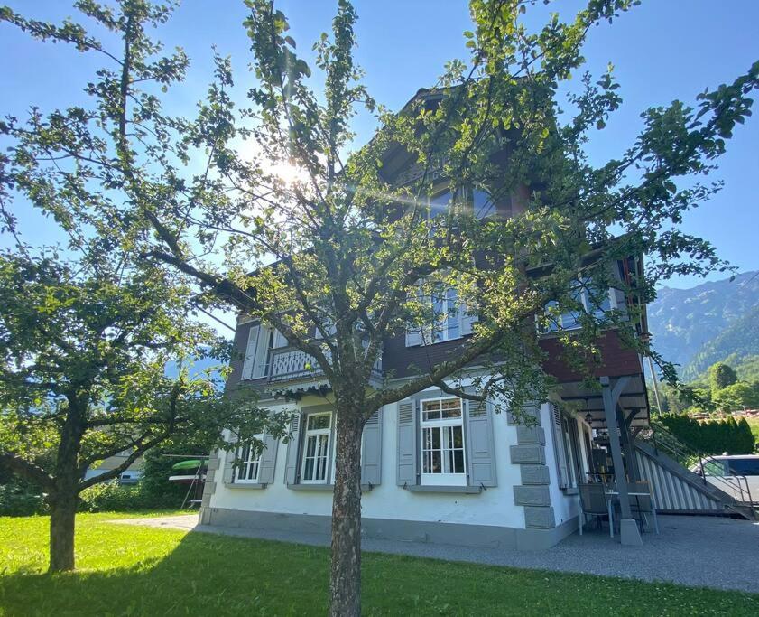 Chalet Mignon - Your Vacation Oasis At Lake Brienz Bonigen Exterior photo